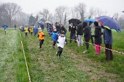 DSC00224 DSC00224